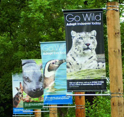 GO wild signs