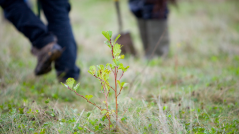 Premier celebrates £2 million milestone for environmental initiative