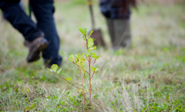 Premier celebrates £2 million milestone for environmental initiative