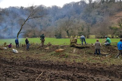 Premier Paper helps develop ancient Dartmoor woodland