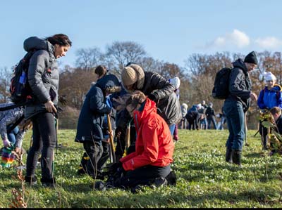 Premier plants 3000 new trees