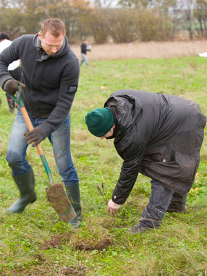 Premier plants 2,500 trees to help grow new woodland - Digital Printer